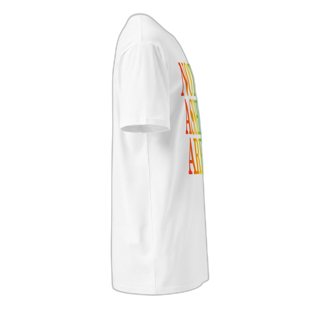 NOA Arctic Rainbow tee - rainbow logo closeup on white cotton