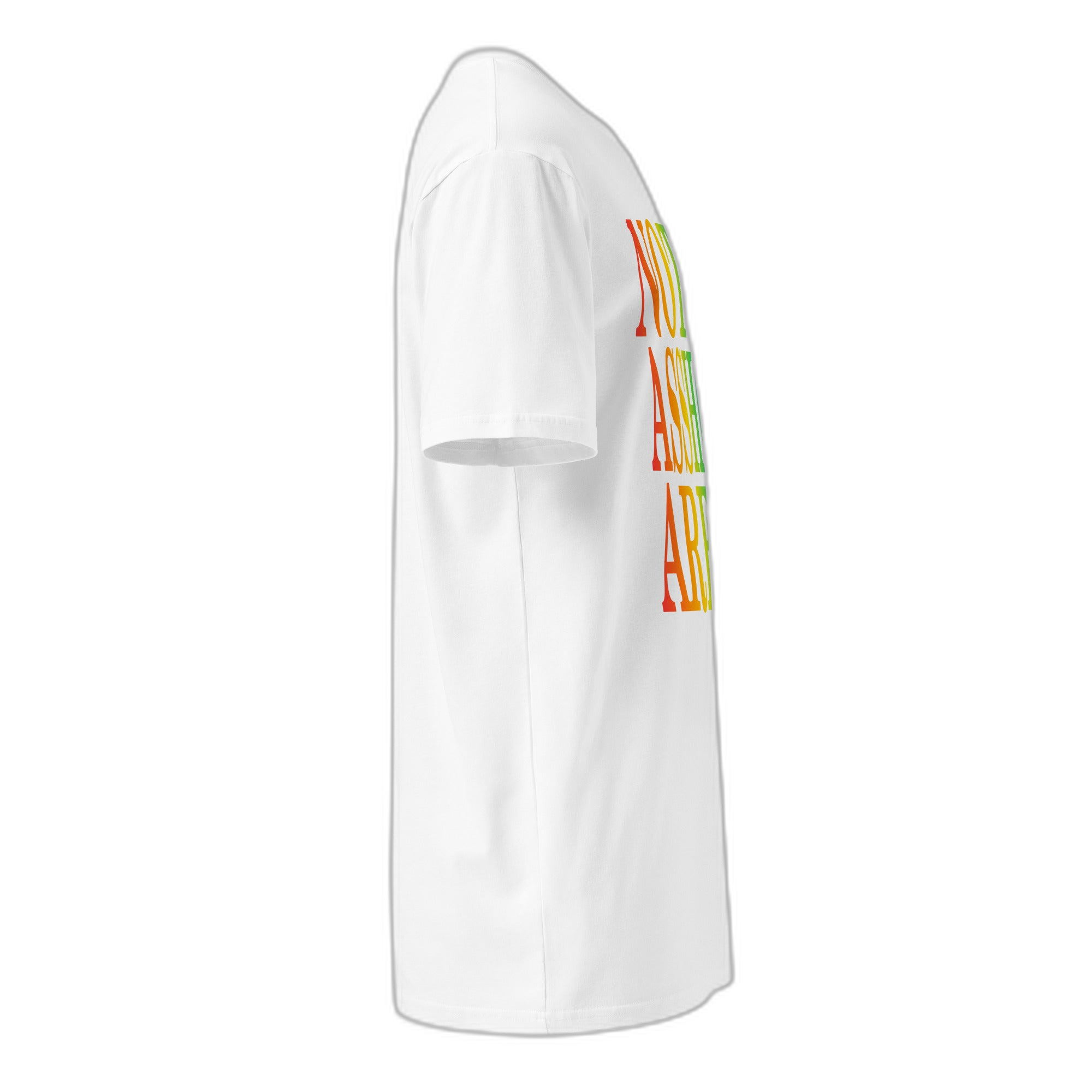 NOA Arctic Rainbow tee - rainbow logo closeup on white cotton