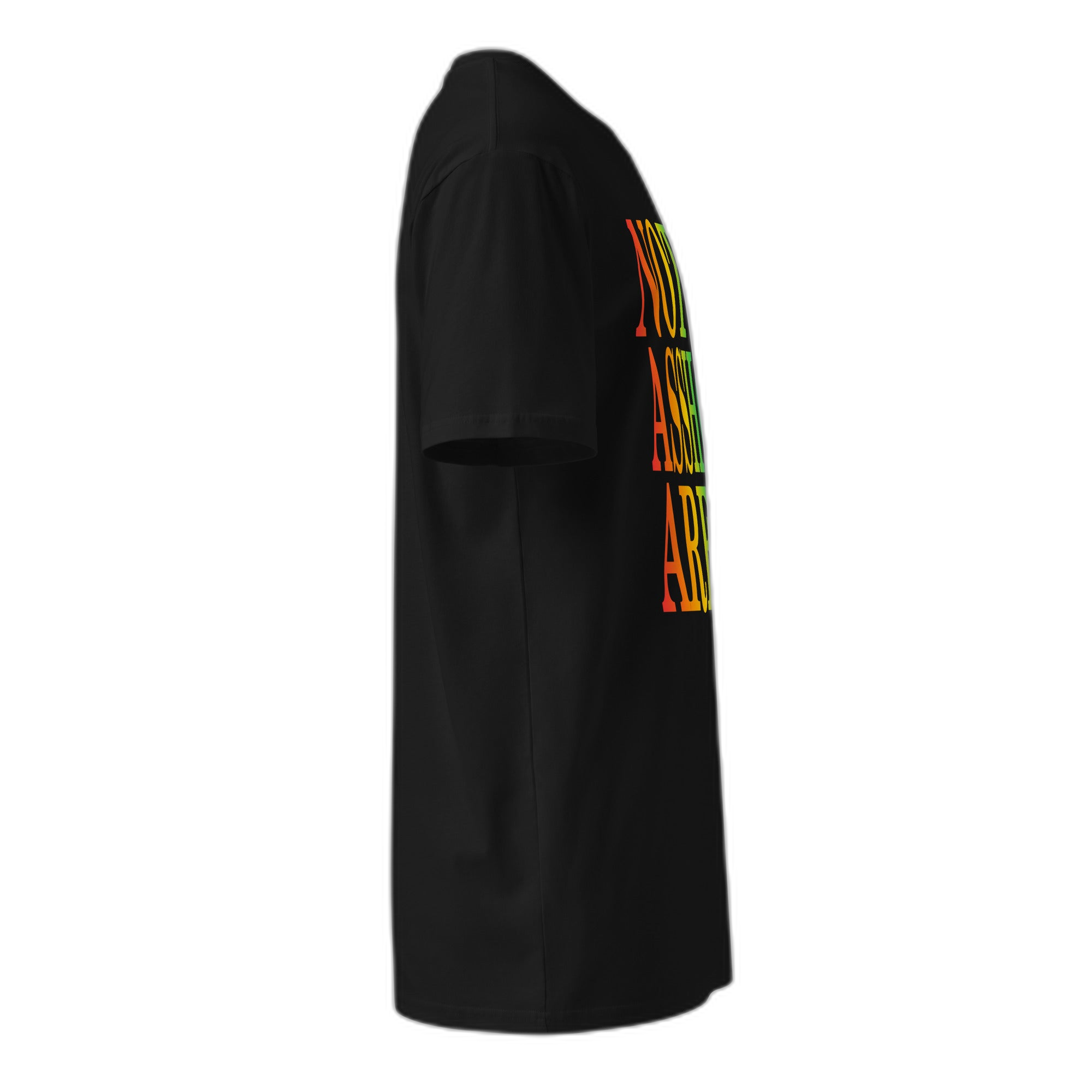 NOA Midnight Rainbow tee - rainbow logo closeup on black cotton